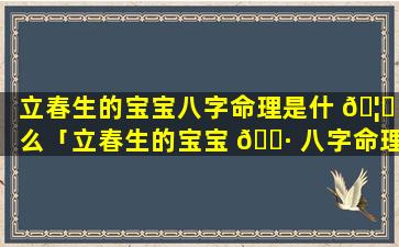 立春生的宝宝八字命理是什 🦅 么「立春生的宝宝 🌷 八字命理是什么意思」
